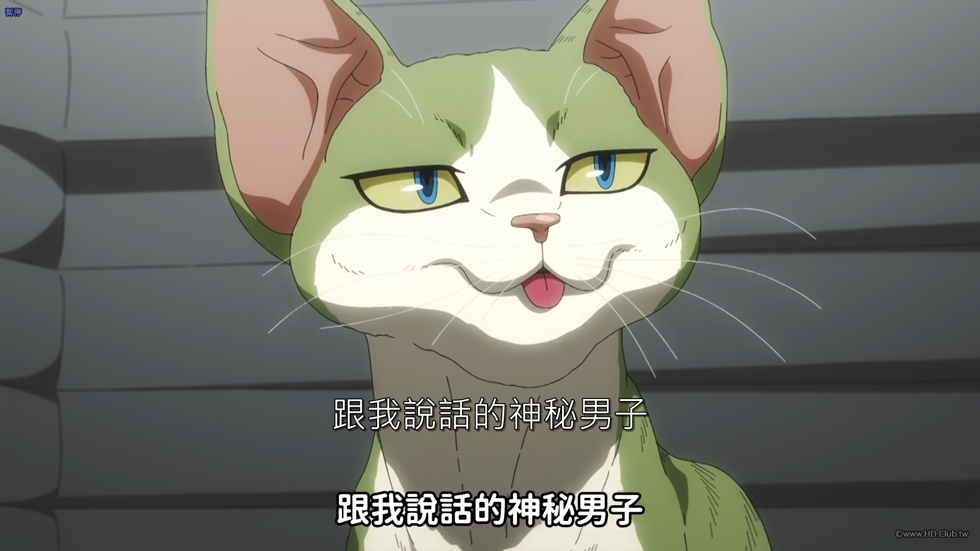 螢幕擷取畫面 2025-10-12 032529.png