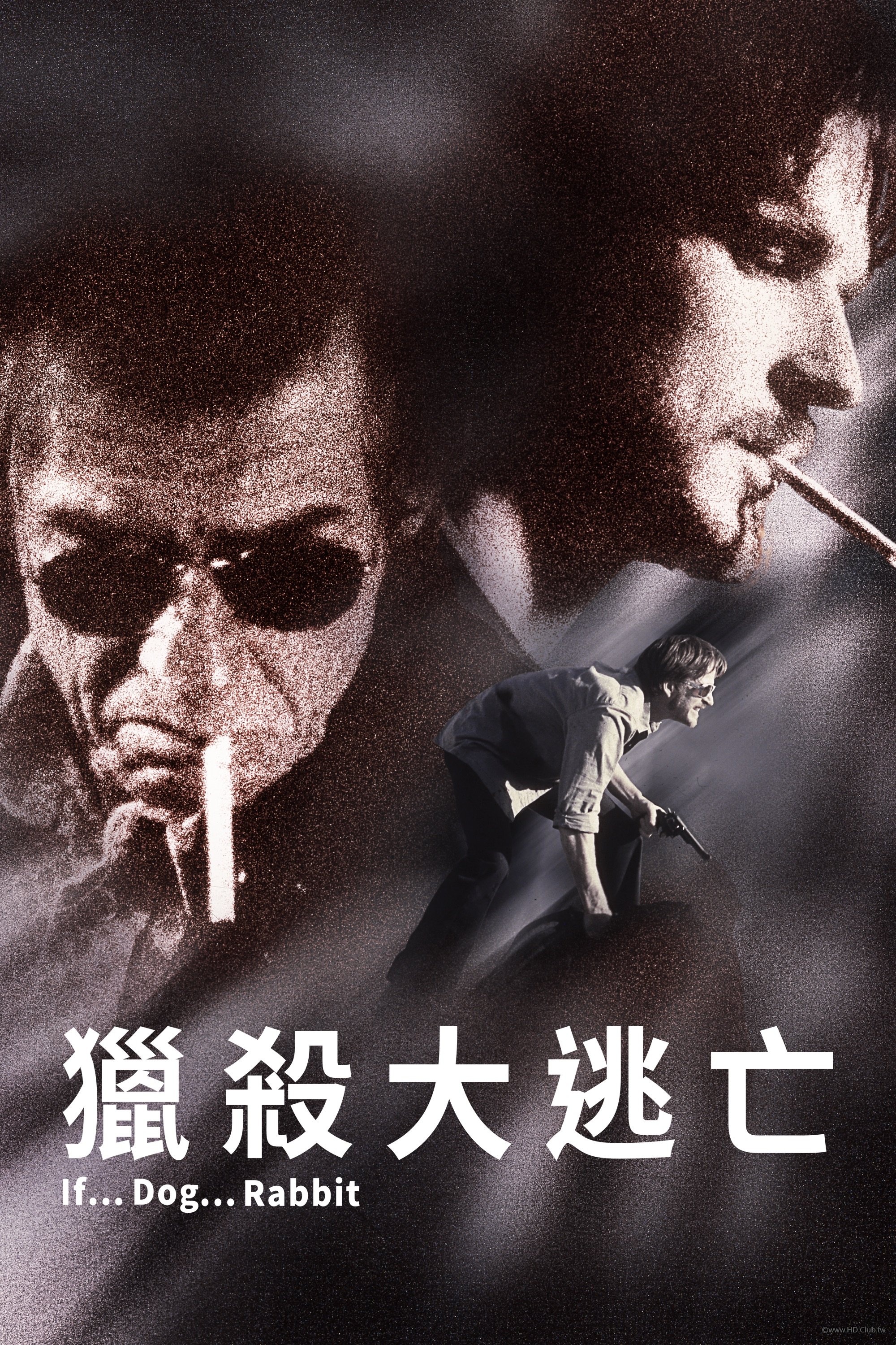 If... Dog... Rabbit.jpg