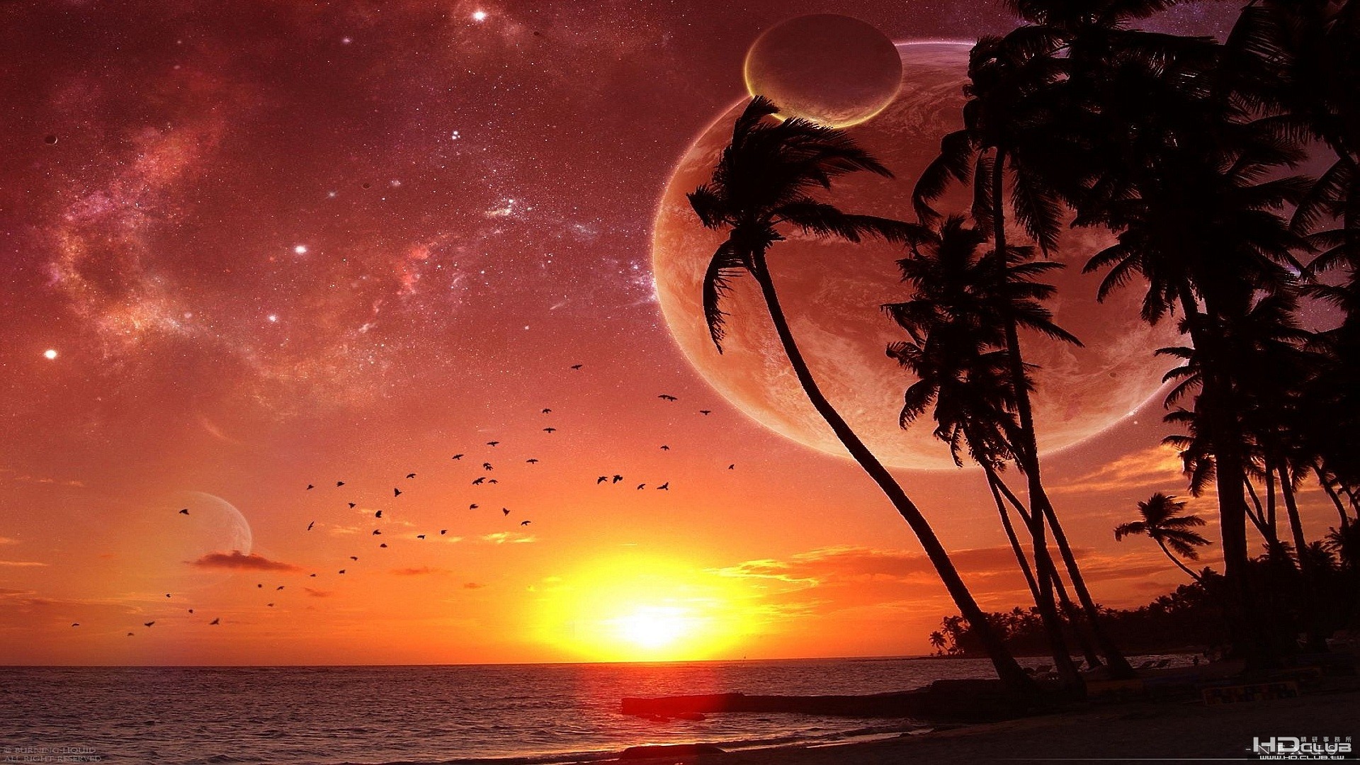 nexus-sunset-3d-graphic.jpg