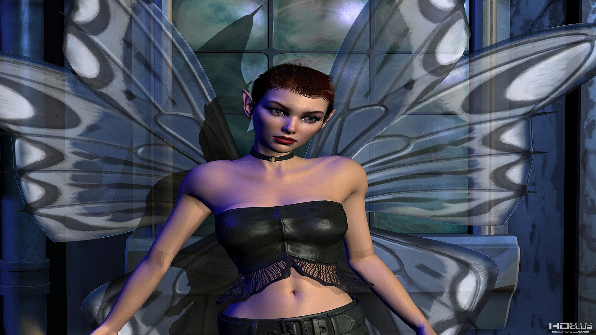 3d-nvidia-gforce-fx-dawn-3d-graphic.jpg