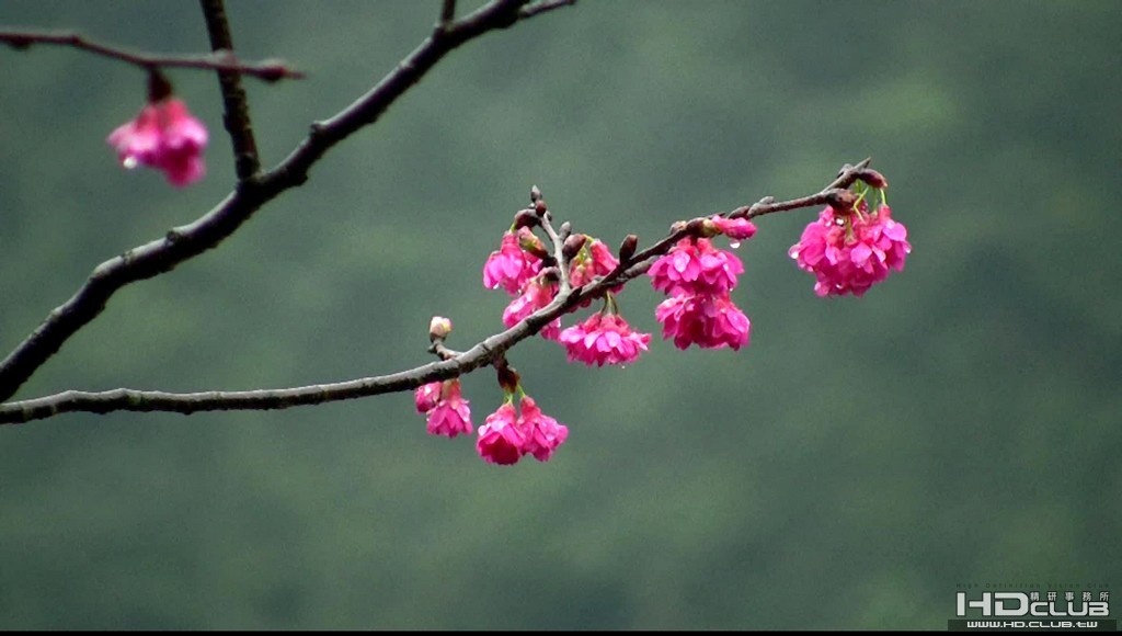 Image00006.jpg