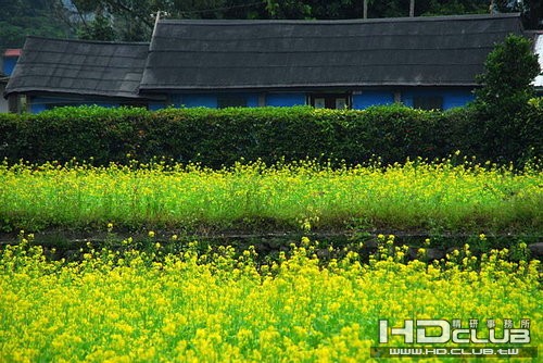 瑞穗193線道1.jpg