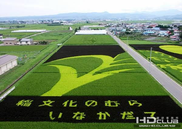 日本稻田藝術7.jpg