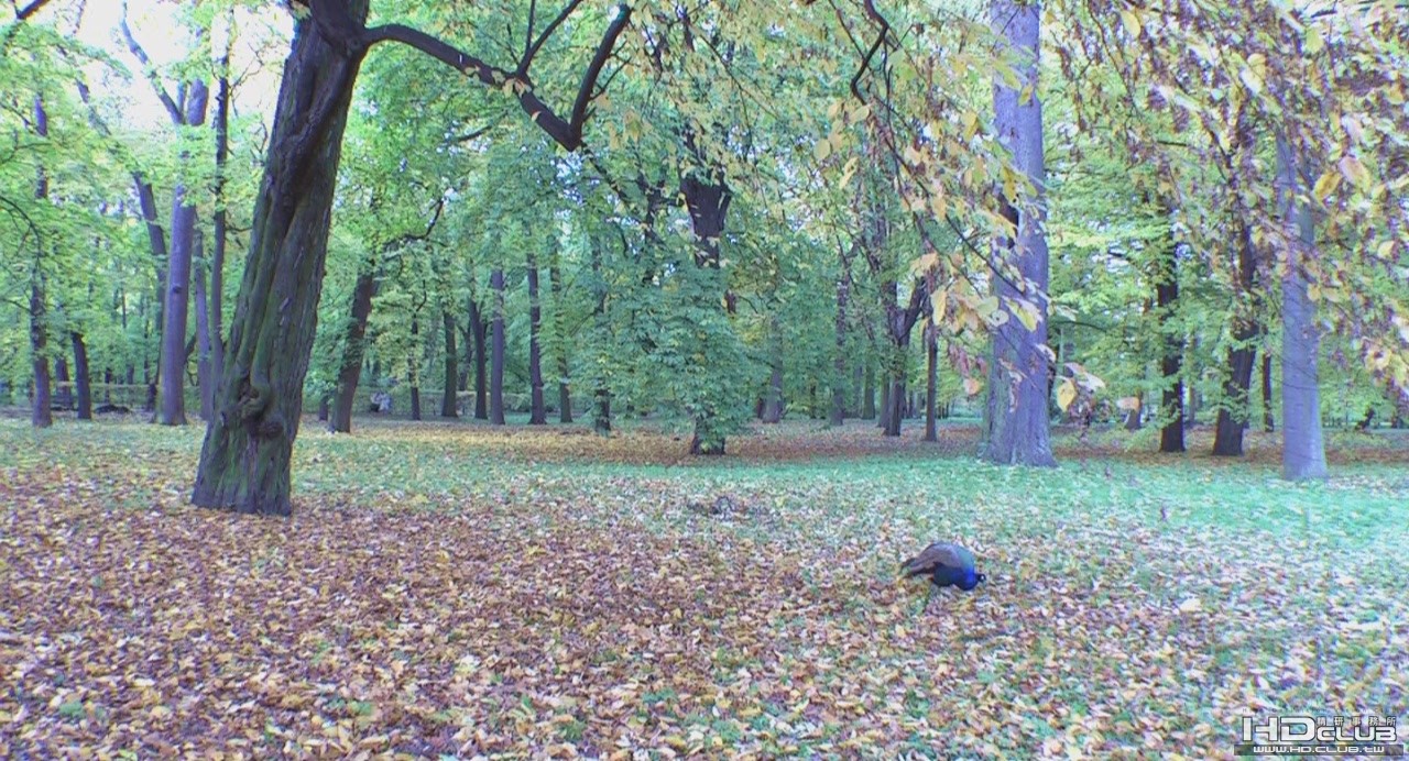 LAZIENKI Park HDV 1080i[(003790)23-33-21].JPG