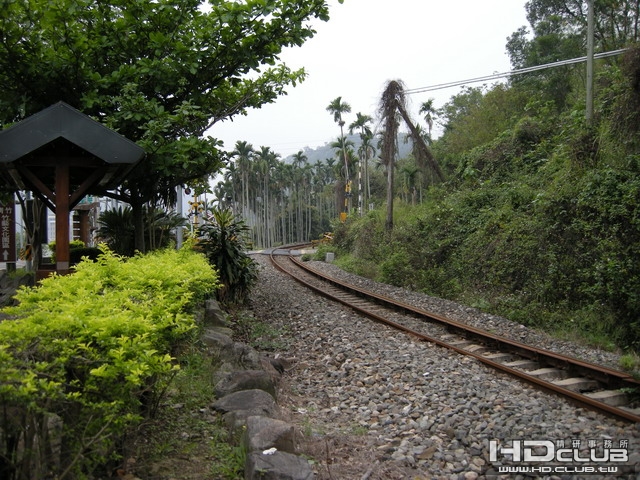6B.JPG