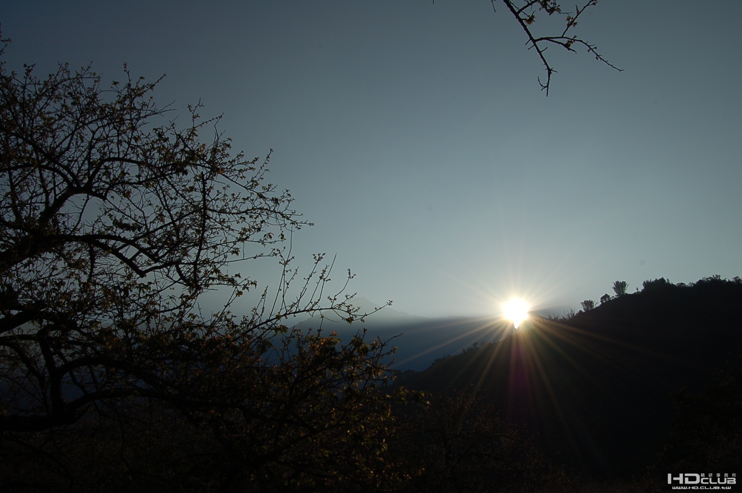 DSC_7309.JPG