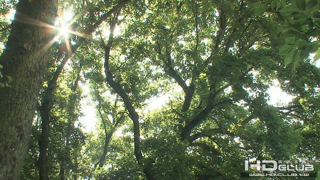 075912_大小 .jpg