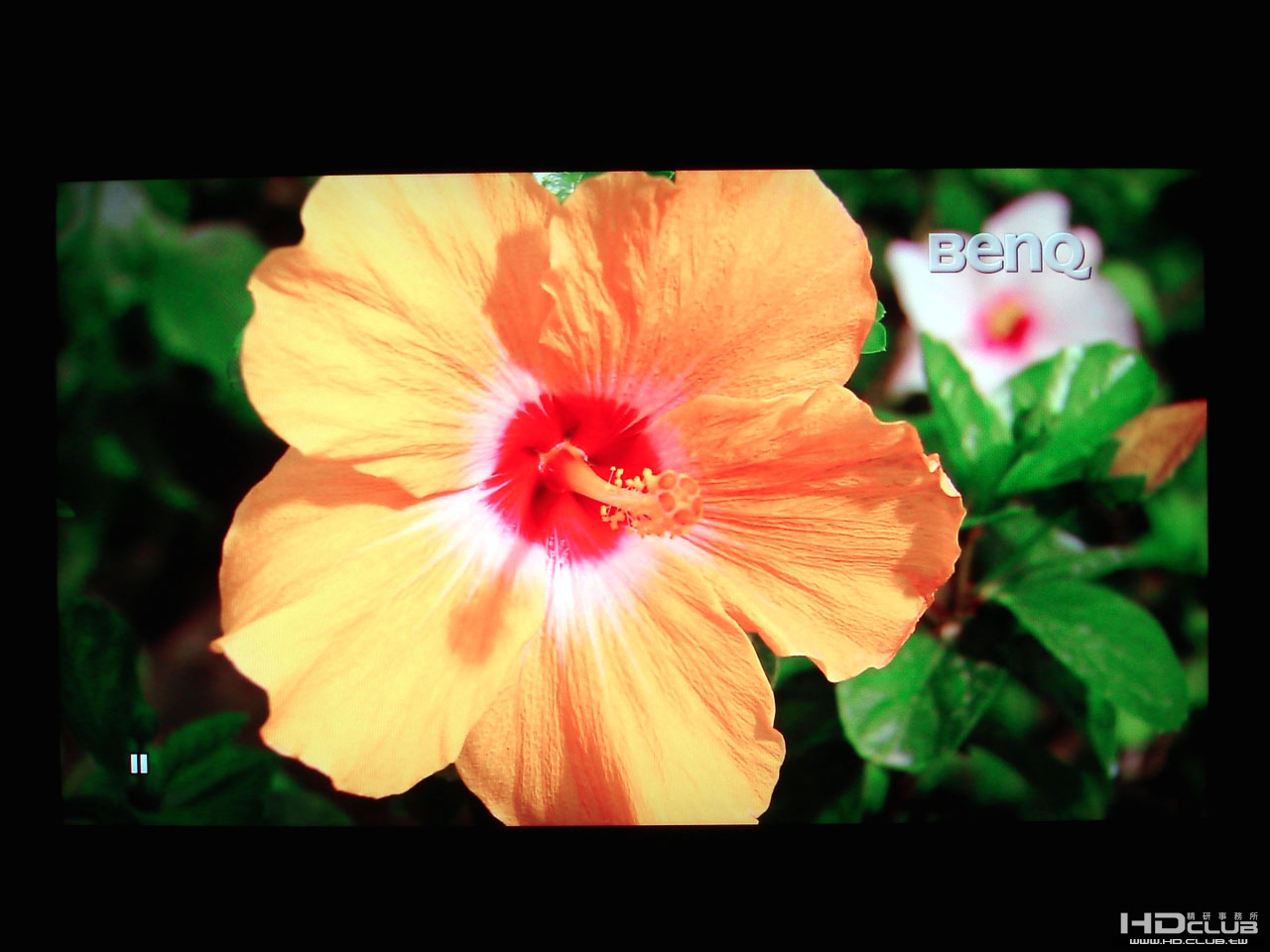 DSC01880 拷貝.jpg