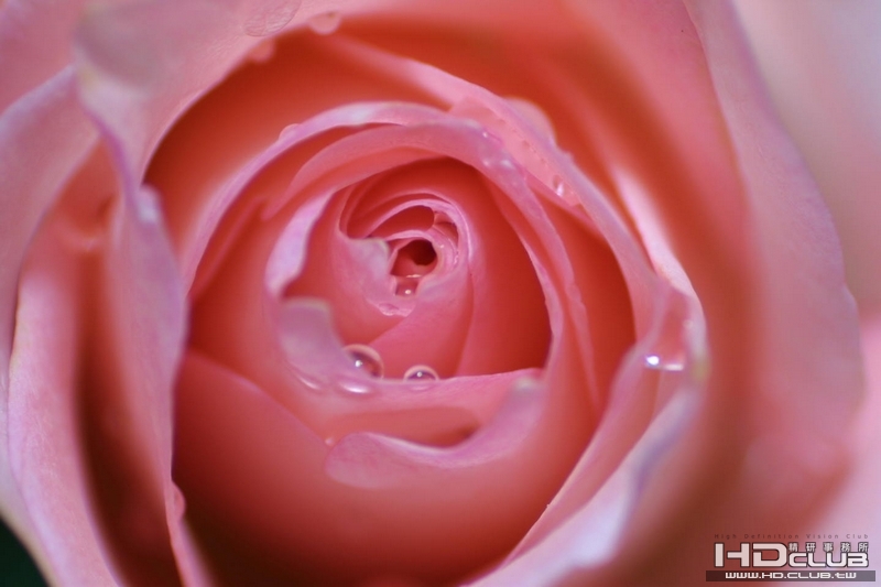 CRW_5543.jpg