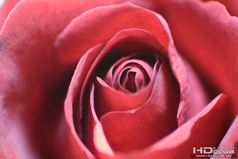 CRW_5545.jpg