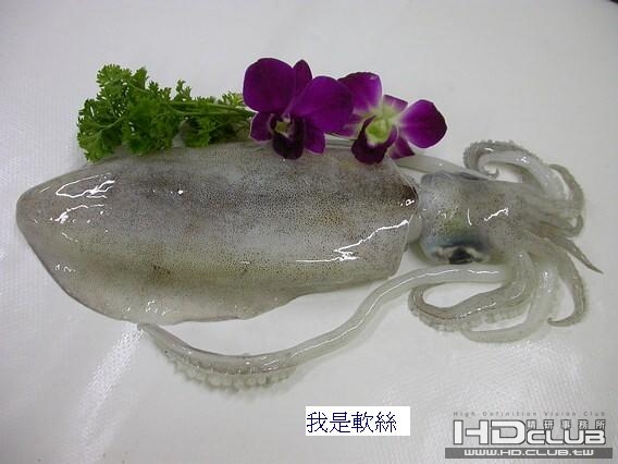 軟絲.jpg