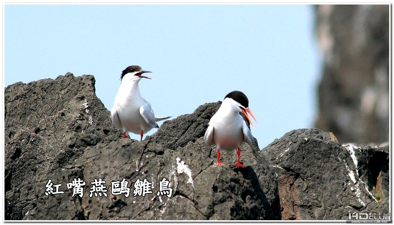 Image00012.jpg
