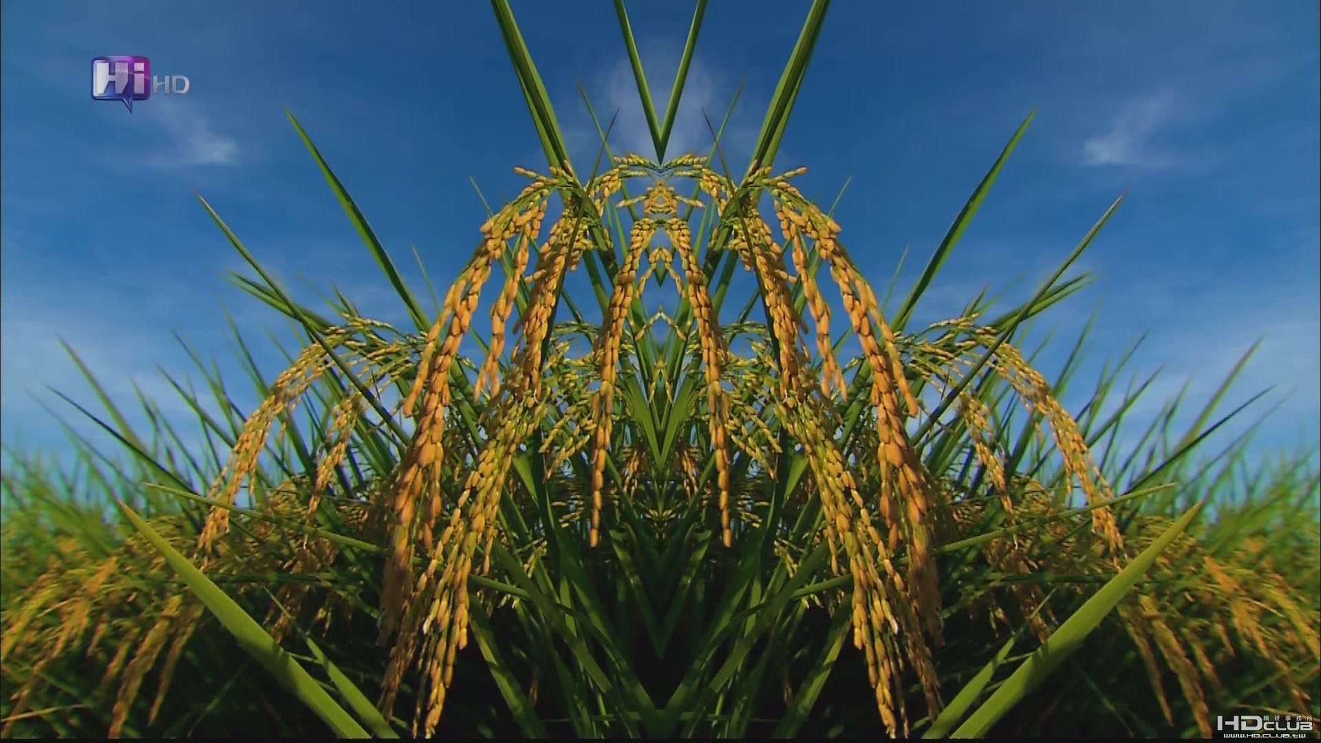 [HDclub][HDTV]Hi Taiwan Part1[(002162)12-10-17].JPG