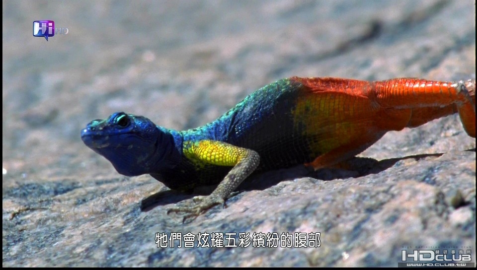 PDVD_001.jpg