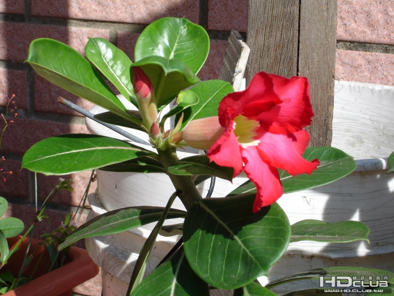 DSC00002_調整大小.JPG