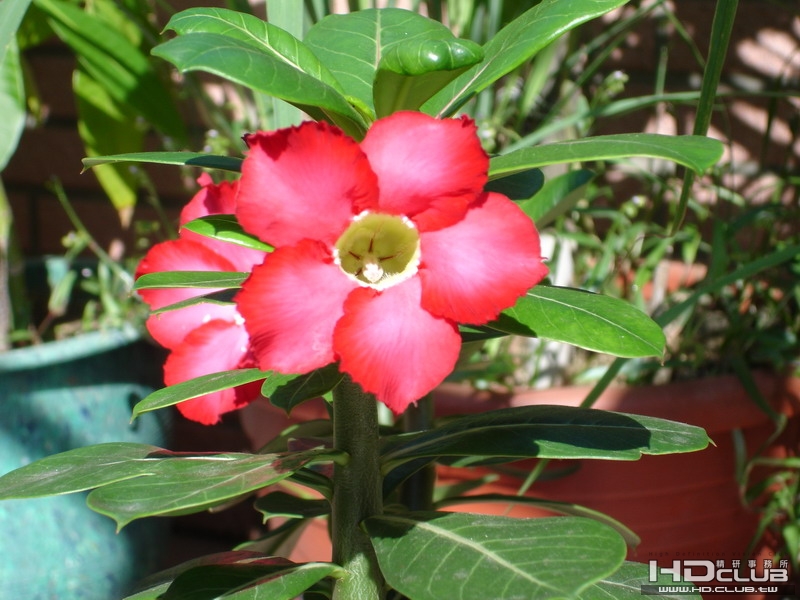 DSC00004_調整大小.JPG
