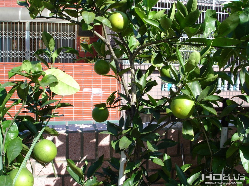 DSC00006_調整大小.JPG