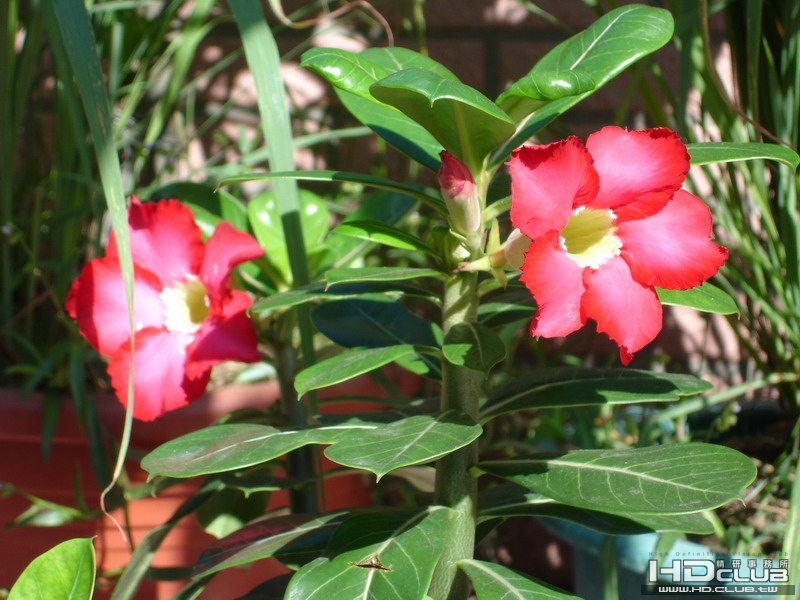DSC00003_調整大小.JPG