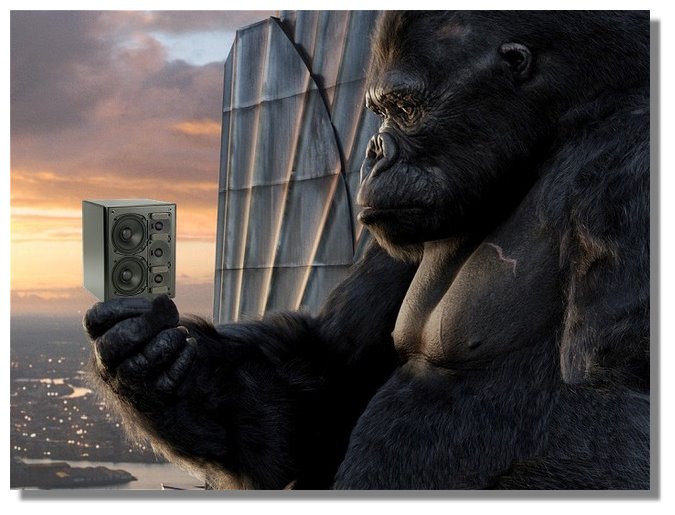 kingkong.jpg