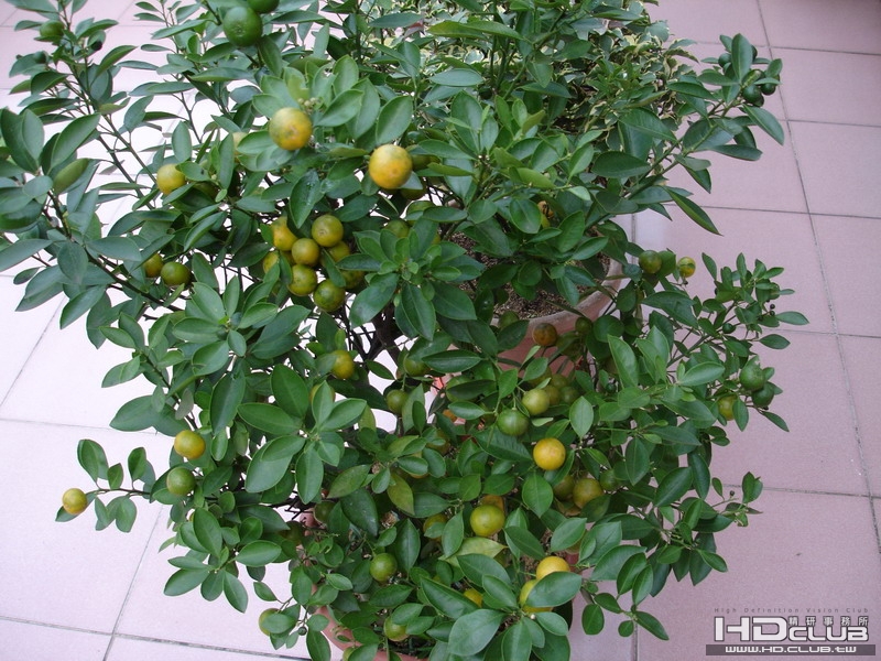 DSC00002_調整大小.JPG