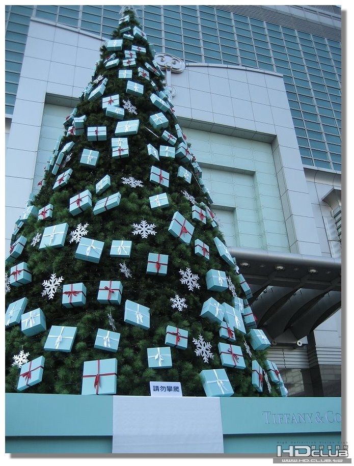 「101 TIFFANY&CO 聖誕樹]………‥‥・☆☆