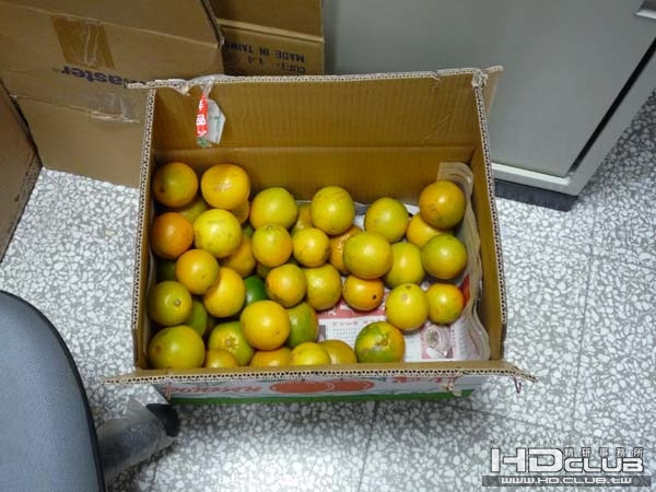 P1000009.JPG