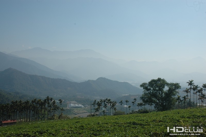 花海背面山坡可鳥瞰埔里盆地