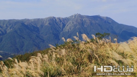 影像7.jpg