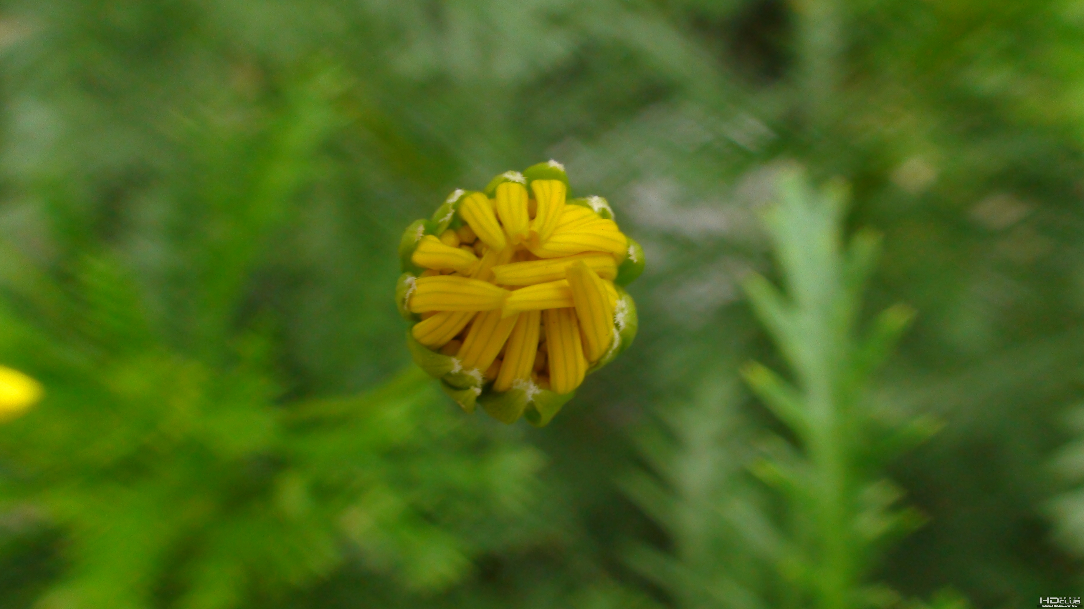 DSC00638.JPG