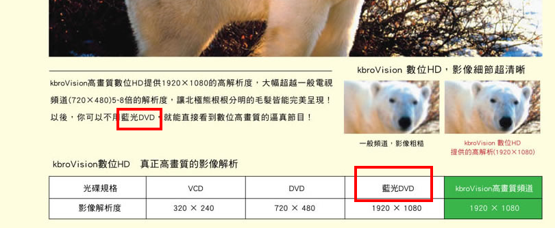 BDVD.bmp
