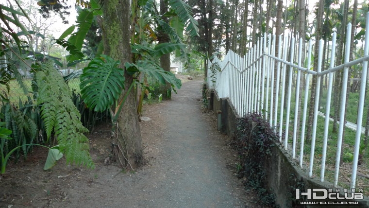 p03.JPG