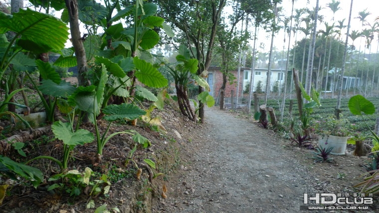 p04.JPG