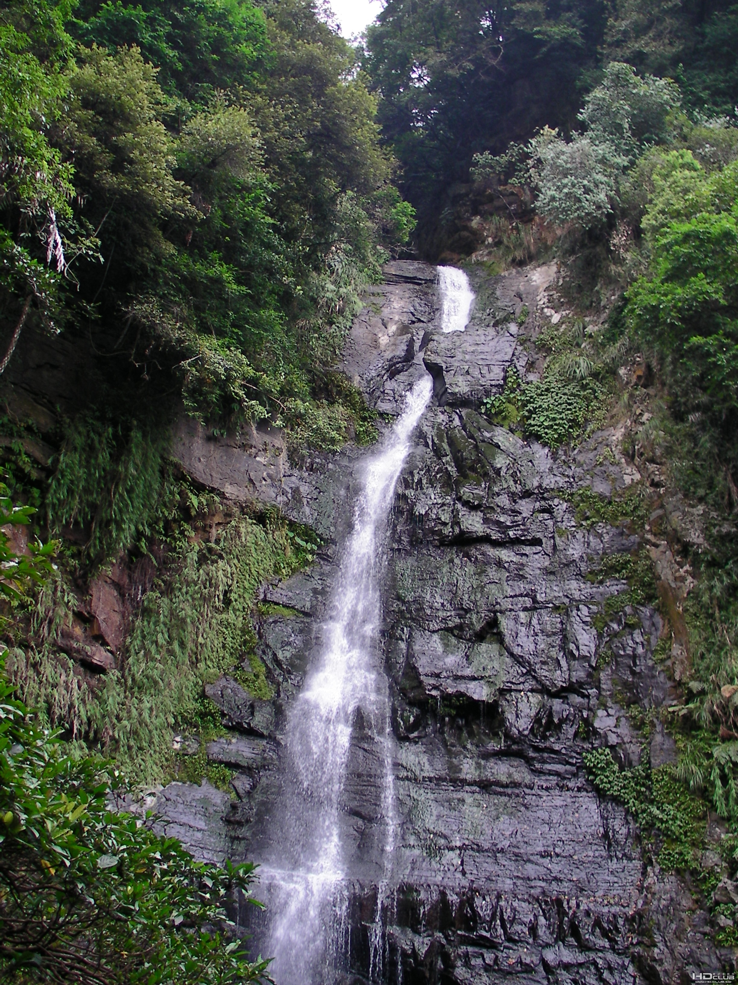 SANY0199.JPG