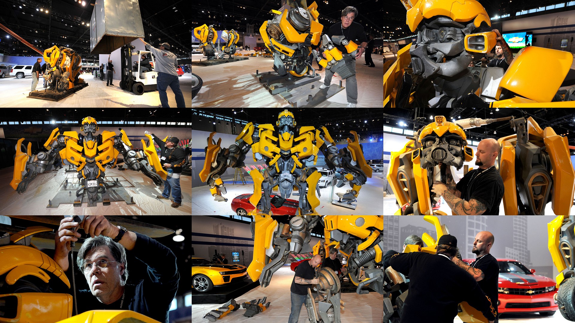 Bumblebee.jpg