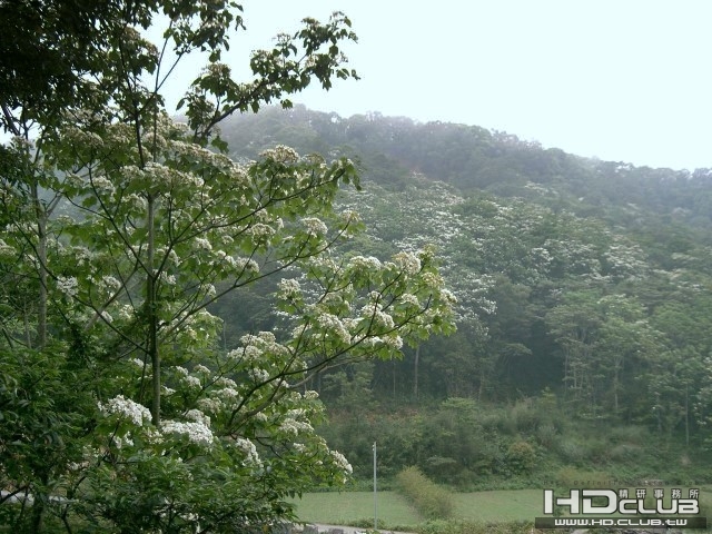 挑炭古道4