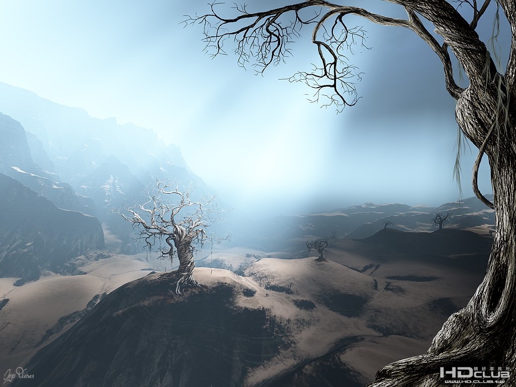 the dead garden.jpg