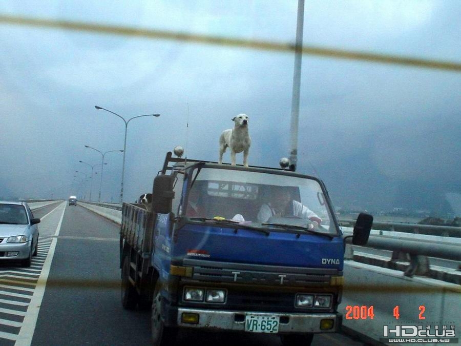 台灣積架1.jpg