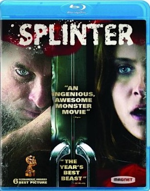 splinter.jpg