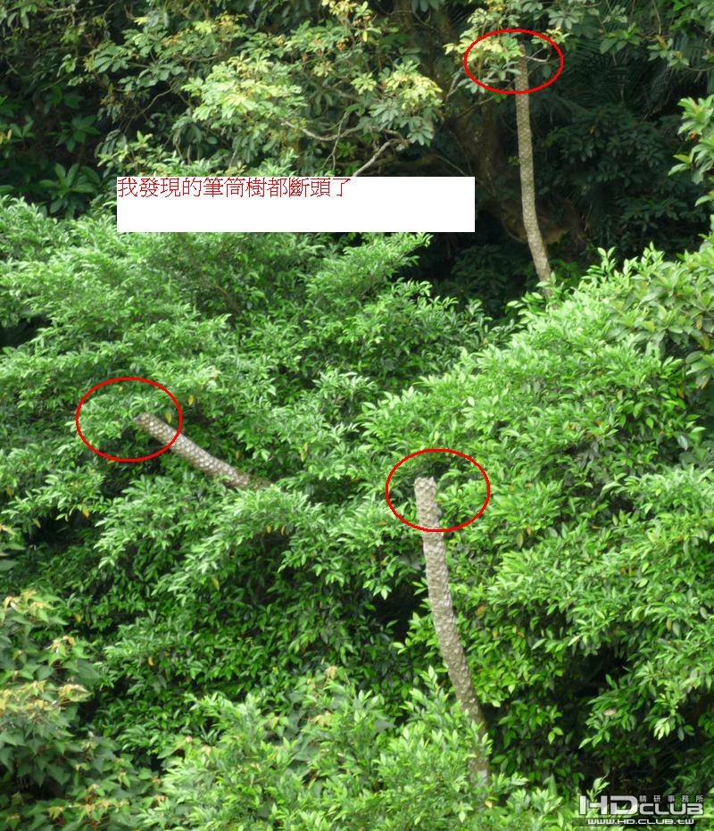 P1000005.JPG