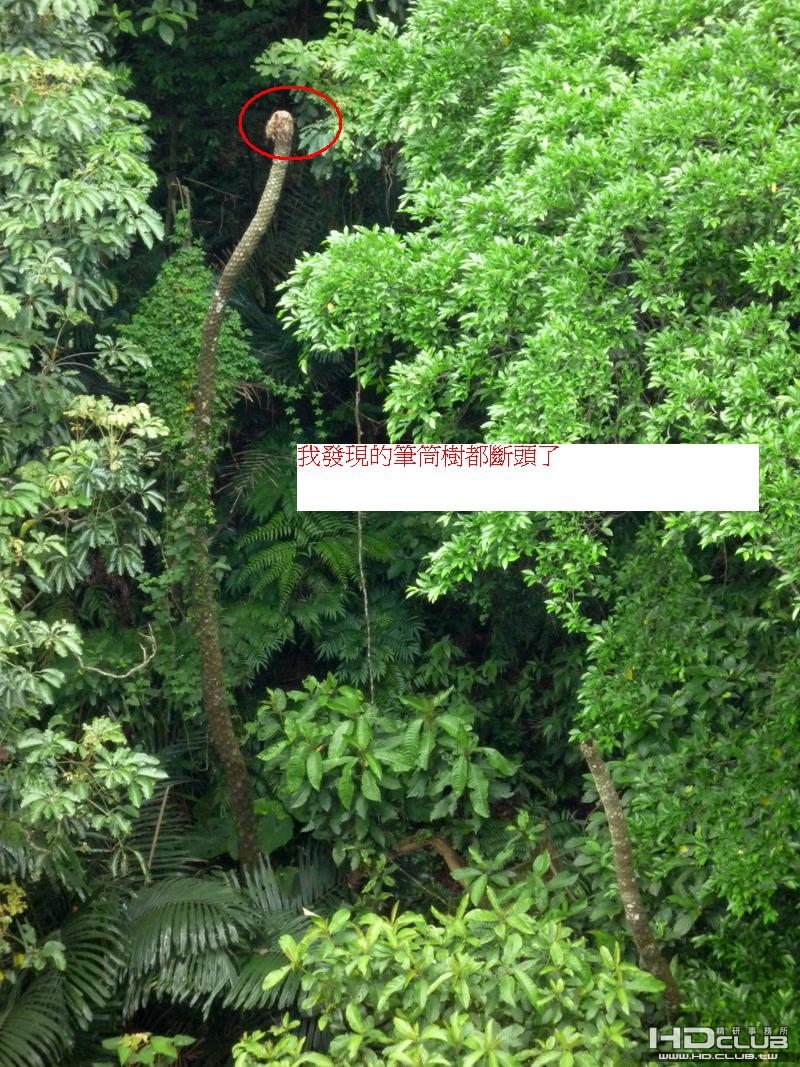 P1000009.JPG