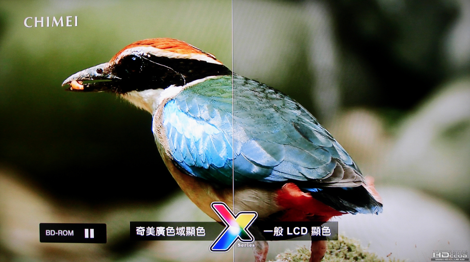 sonybdp360-21.jpg