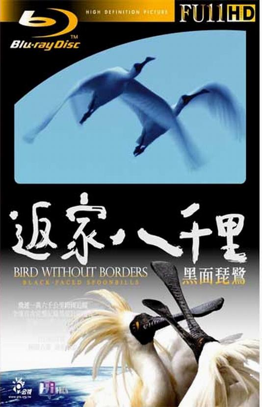 返家八千里.jpg