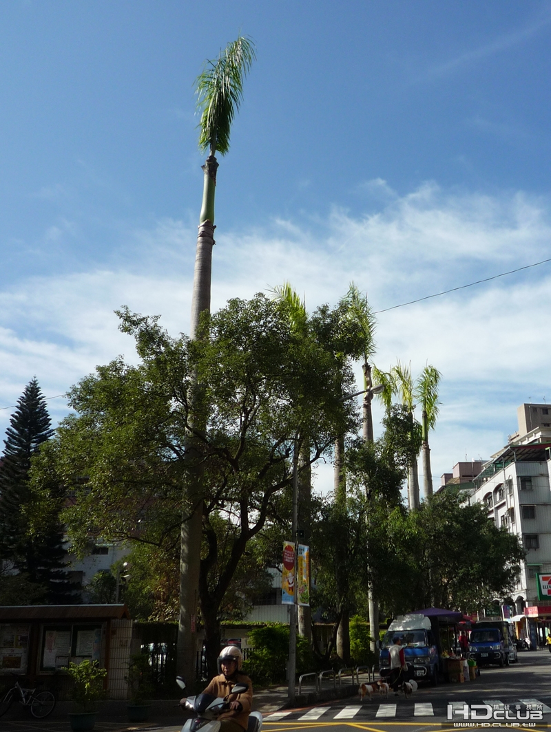 P1000024.JPG