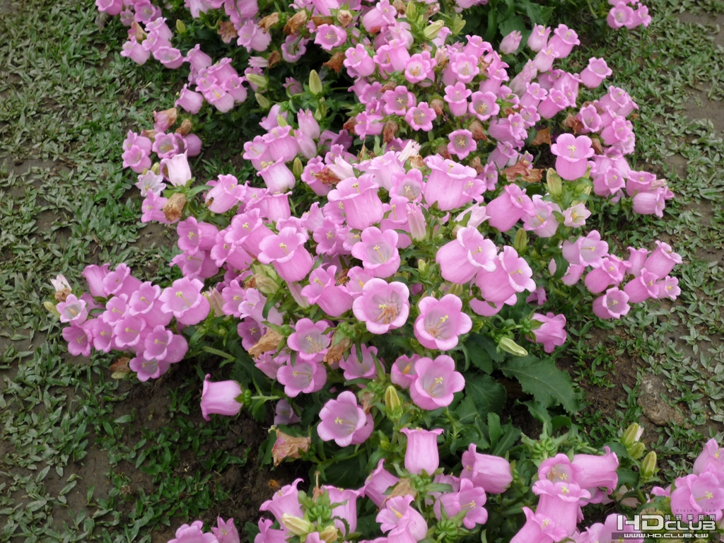 P1000007.JPG