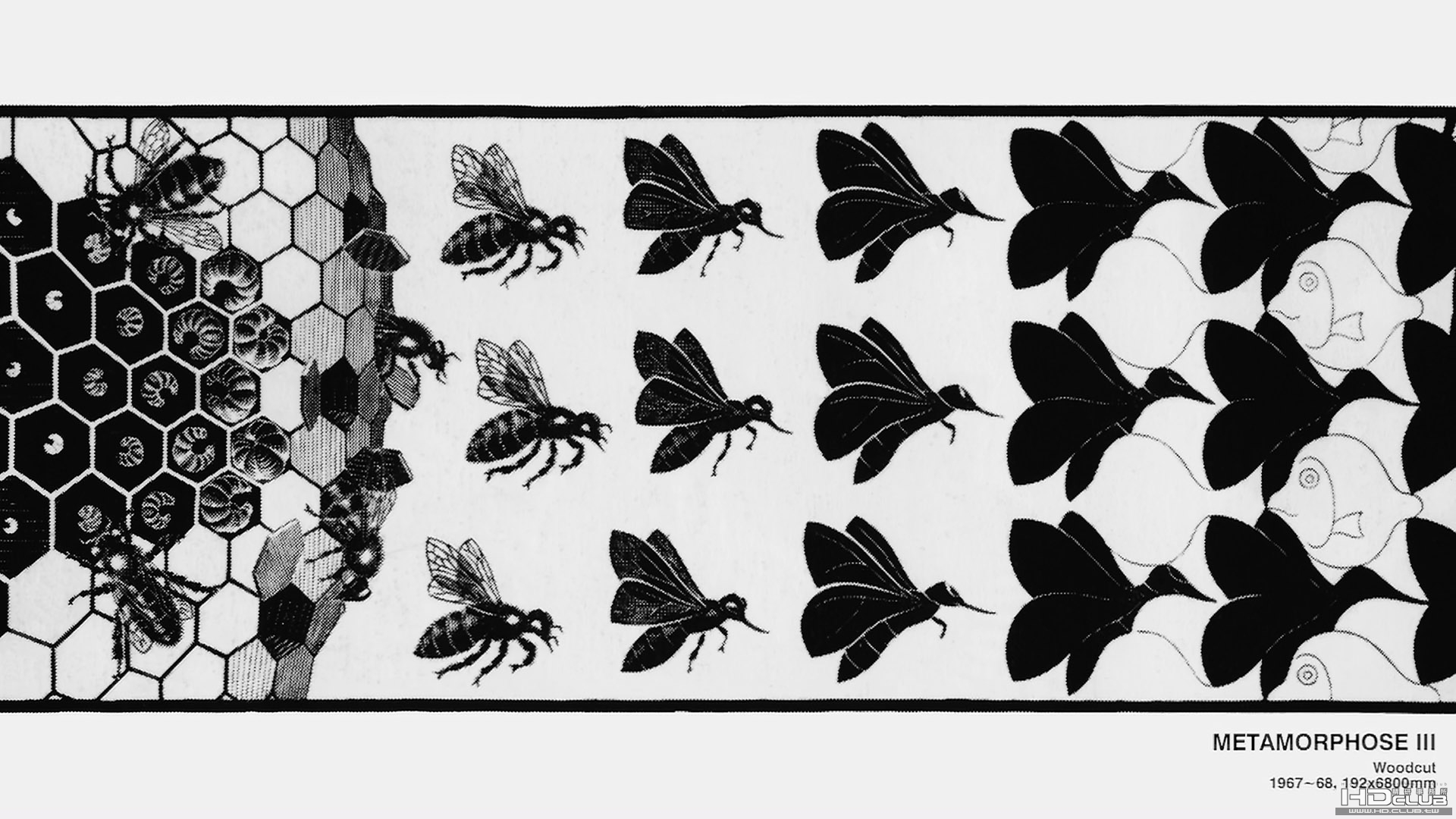 escher(10).jpg