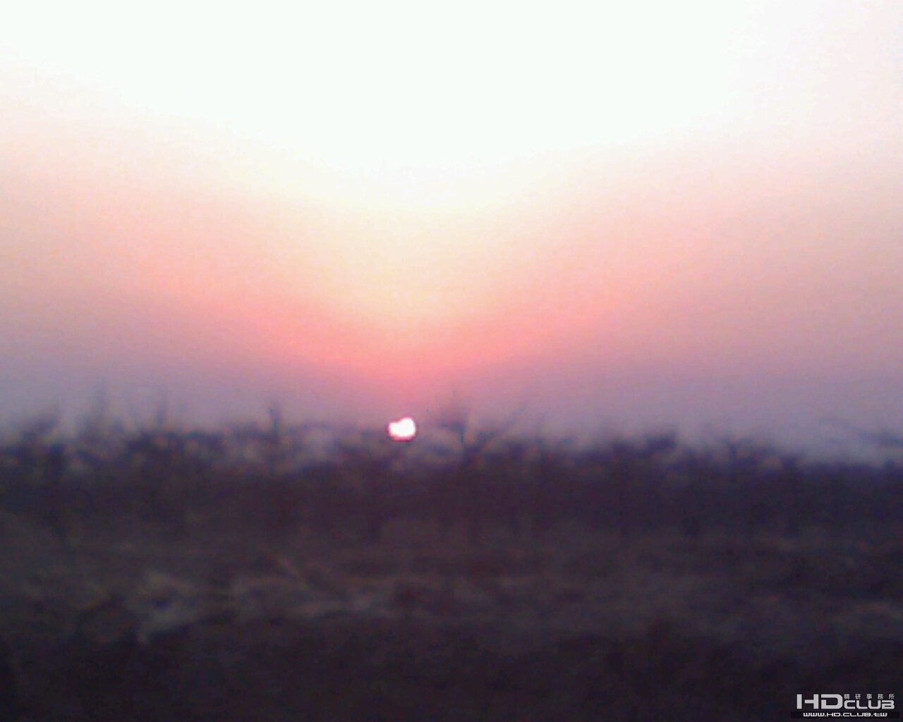 Image_00065.jpg