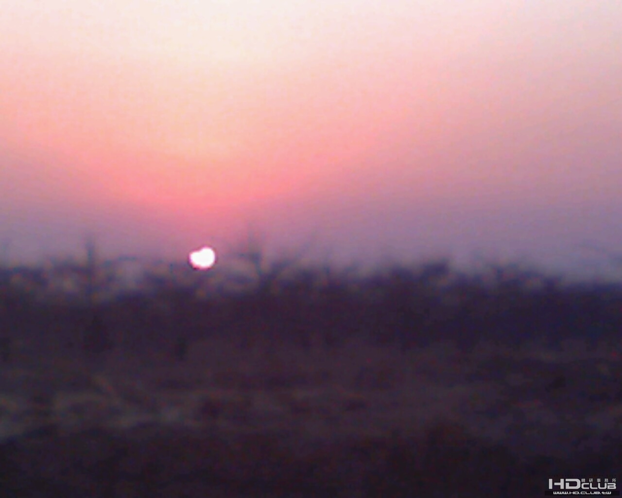 Image_00061.jpg