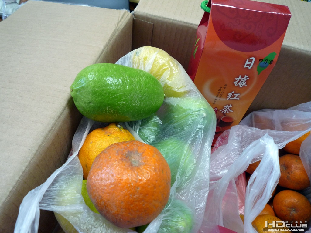 P1000009.JPG