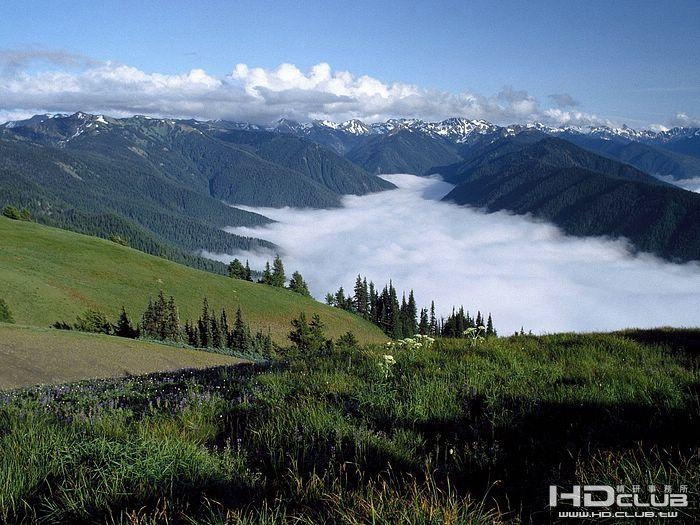 Hurricane Ridge Olympic Peninsula Washington.jpg