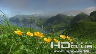 sony-bravia-beauty-of-earth-07.jpg